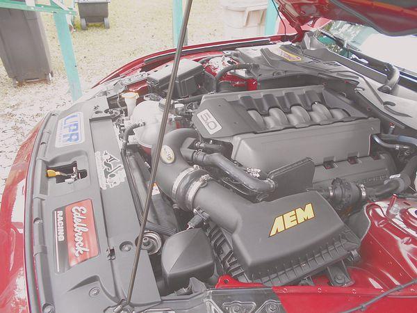 tn_DSCN1259.JPG