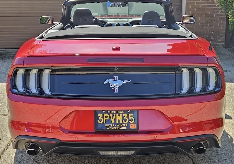 mustang euros.webp