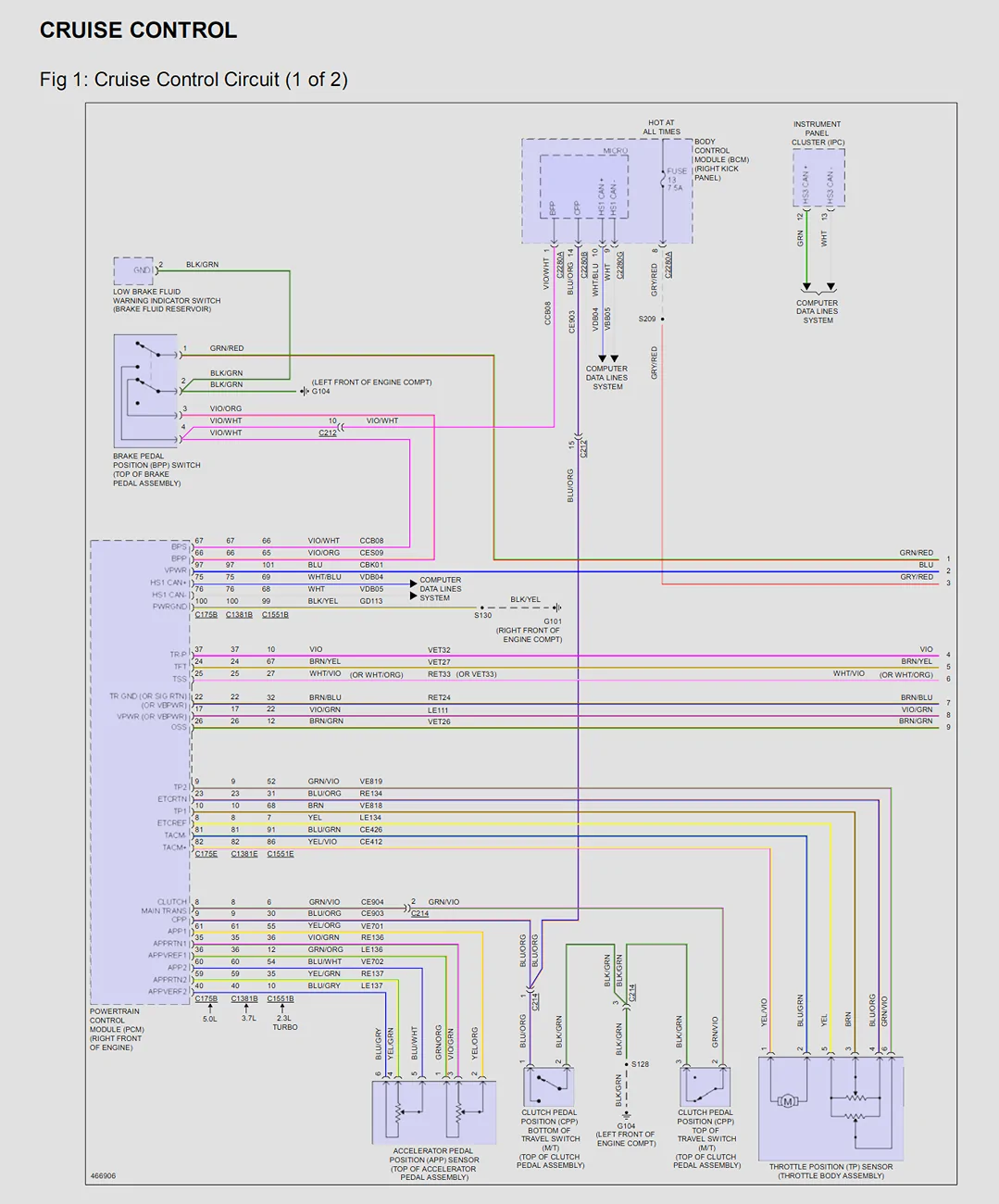 cruise.webp