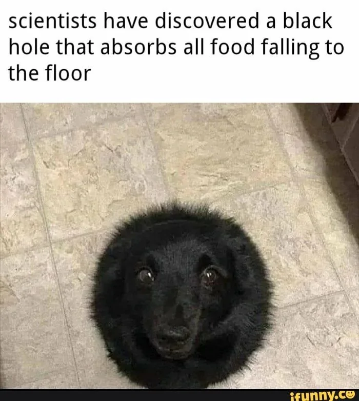 black hole wants noms.webp