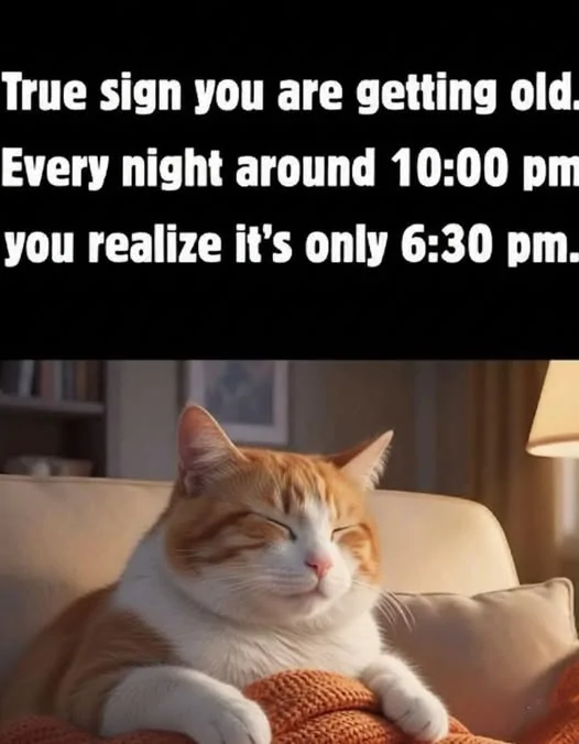 1779278371477-dg.webp