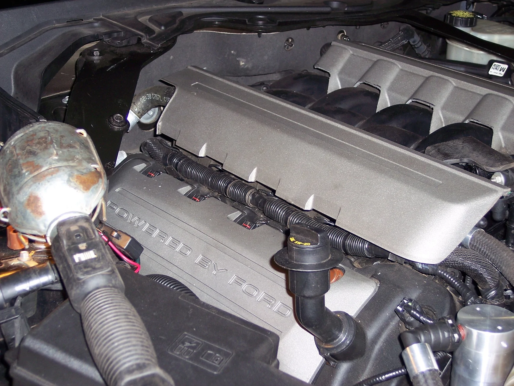 100_0559.webp