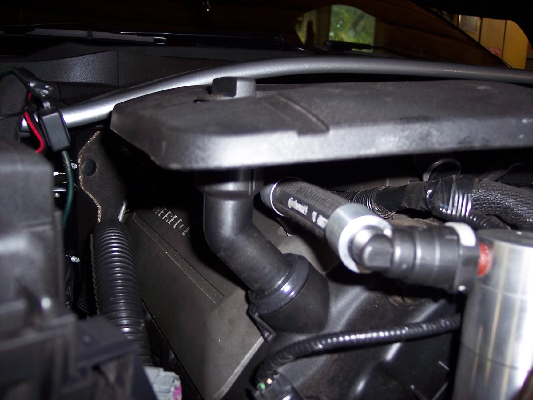 100_0518 - Copy.webp