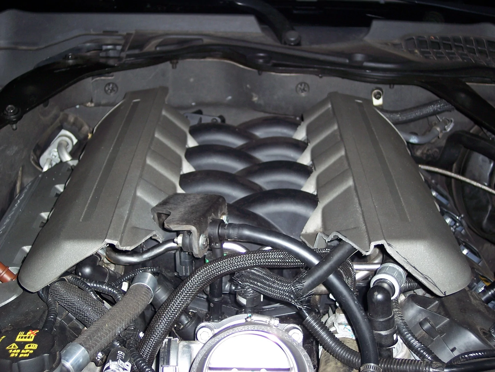 100_0558.webp