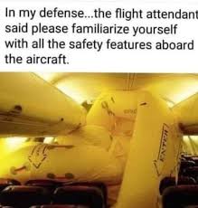 airliner, the flight attendant said.jpg