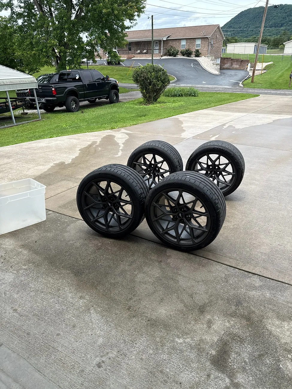 IMG_1508.webp