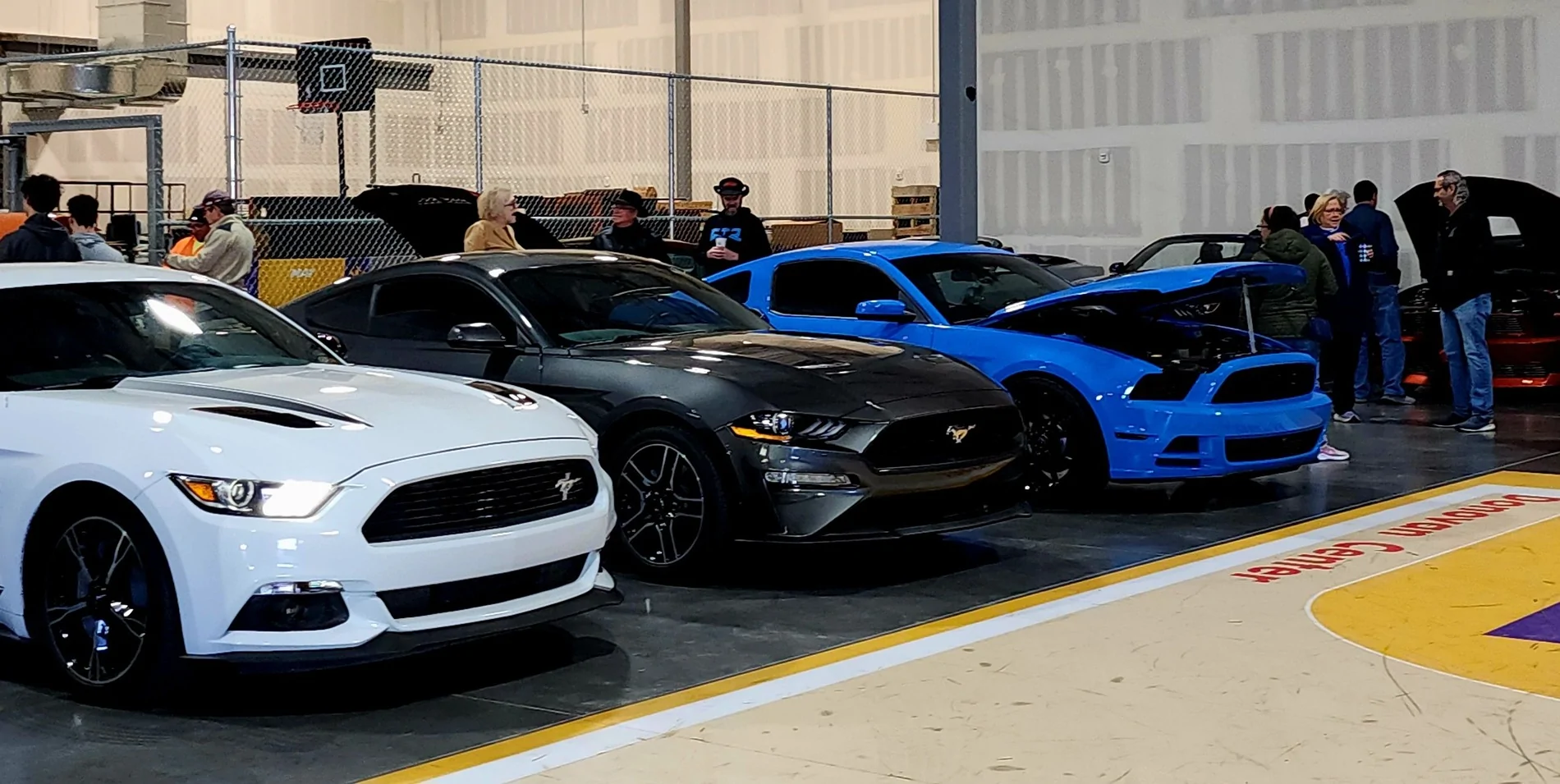 19 stang at Cars&Cafe.webp