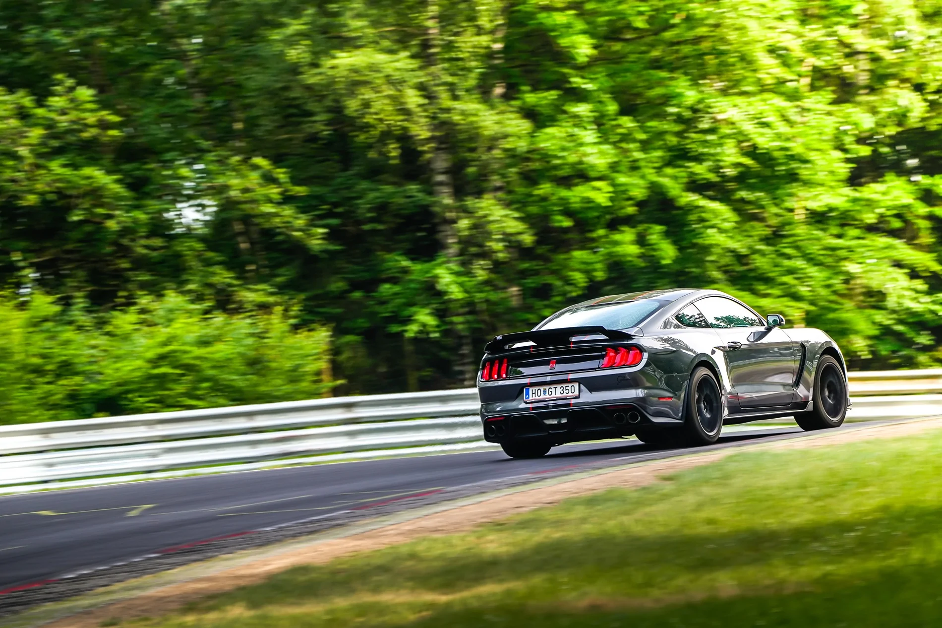 racetracker_47861260_695626.webp