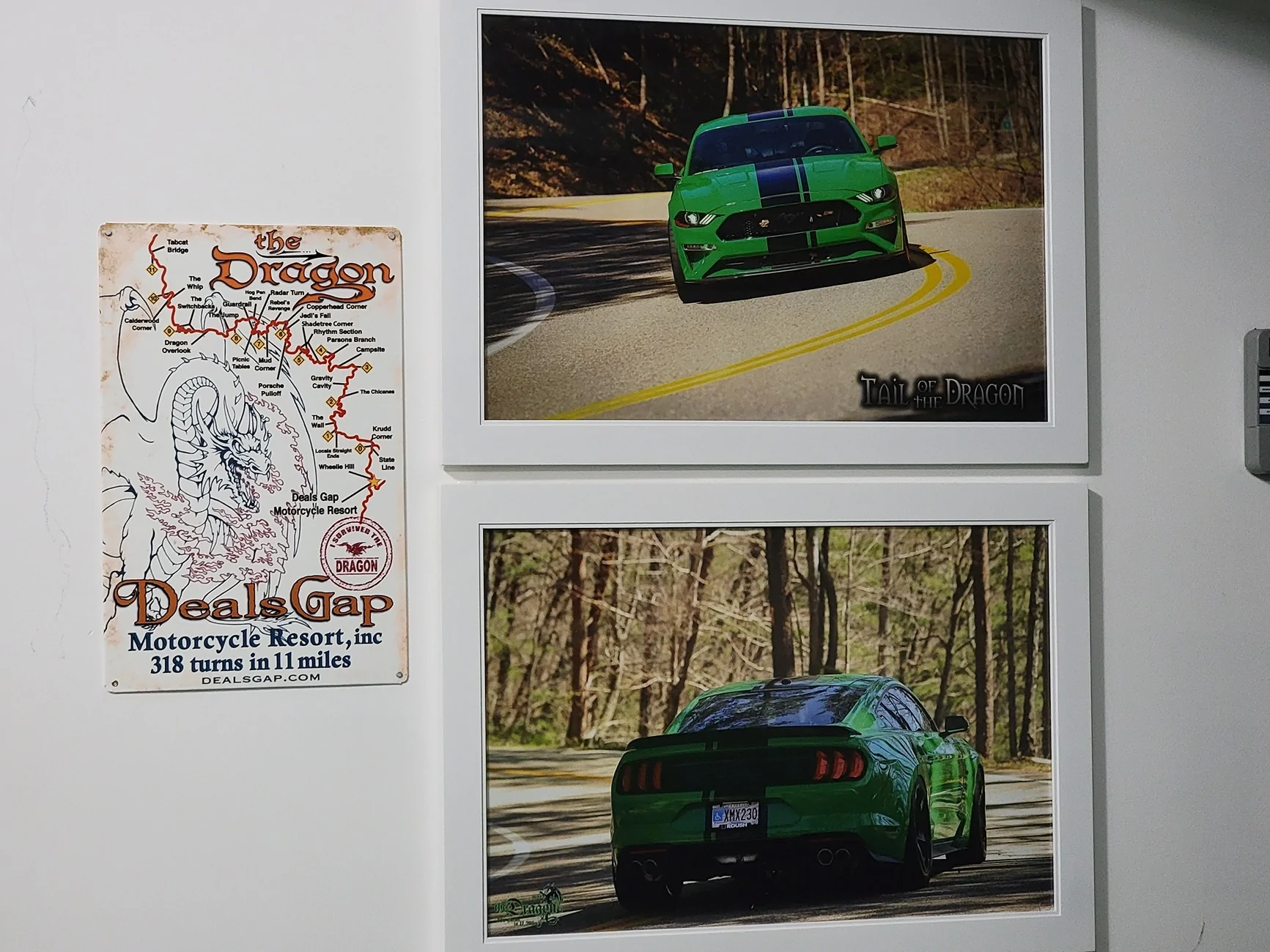 Tail of the Dragon 2.webp