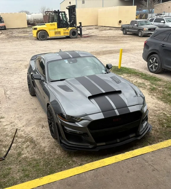 aeriel mustang.webp