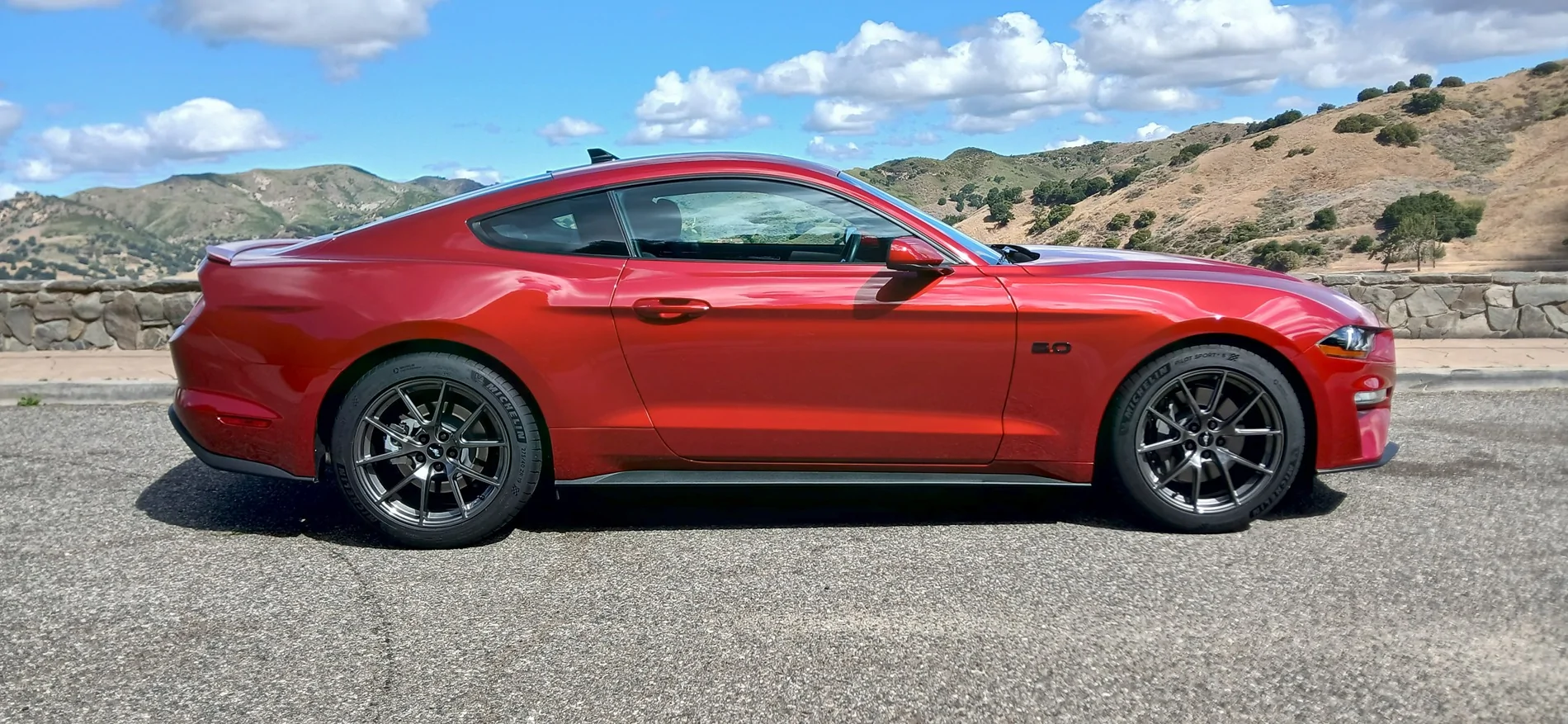 mustang2.webp