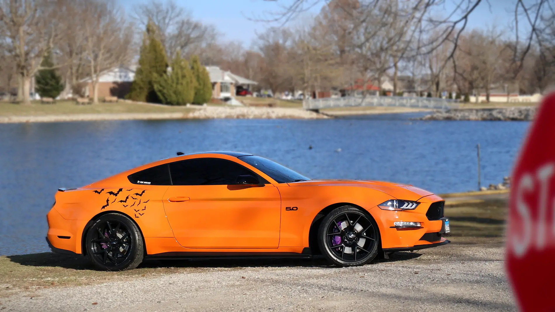 Mustang pond.webp