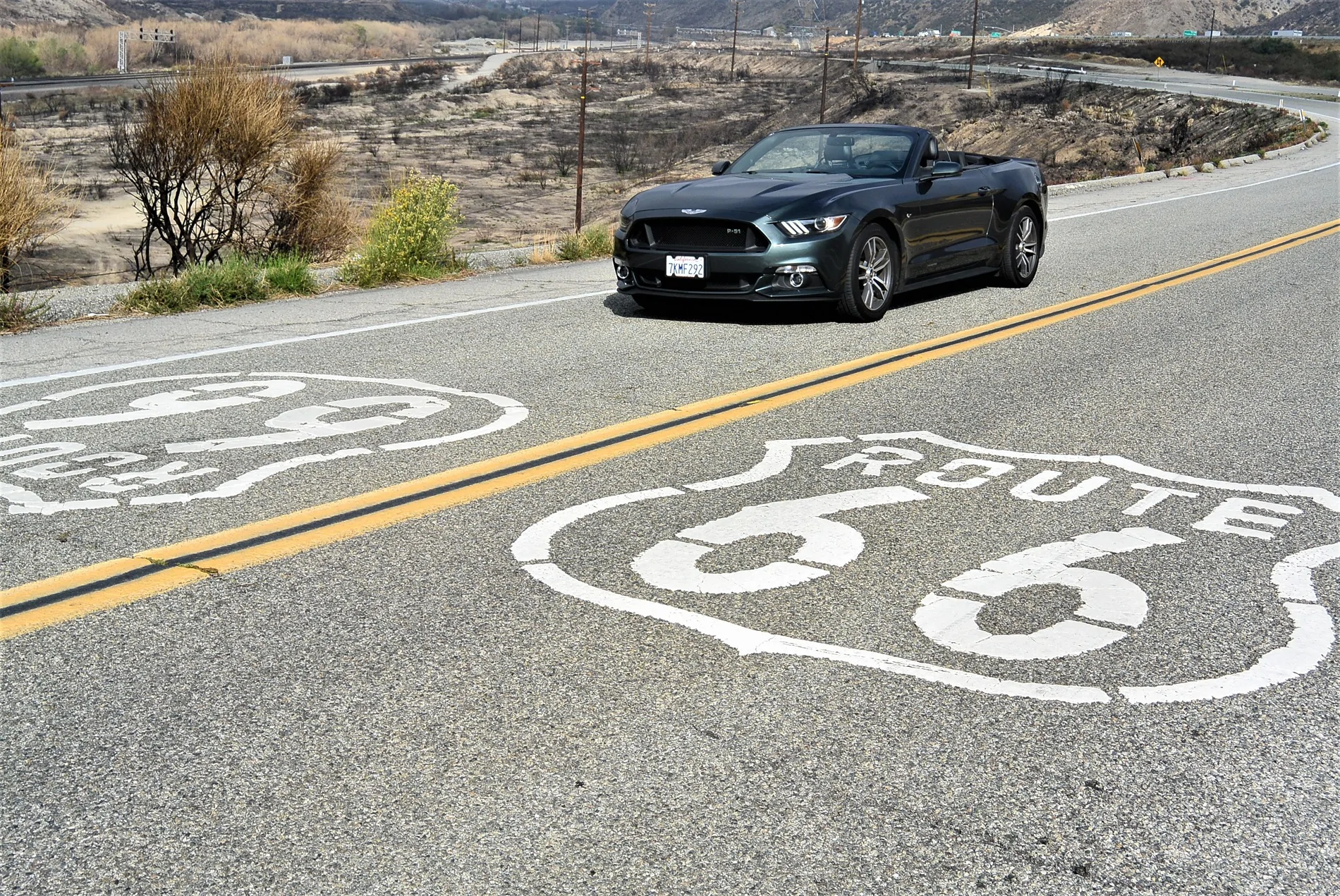 DSC_4002 (2).webp