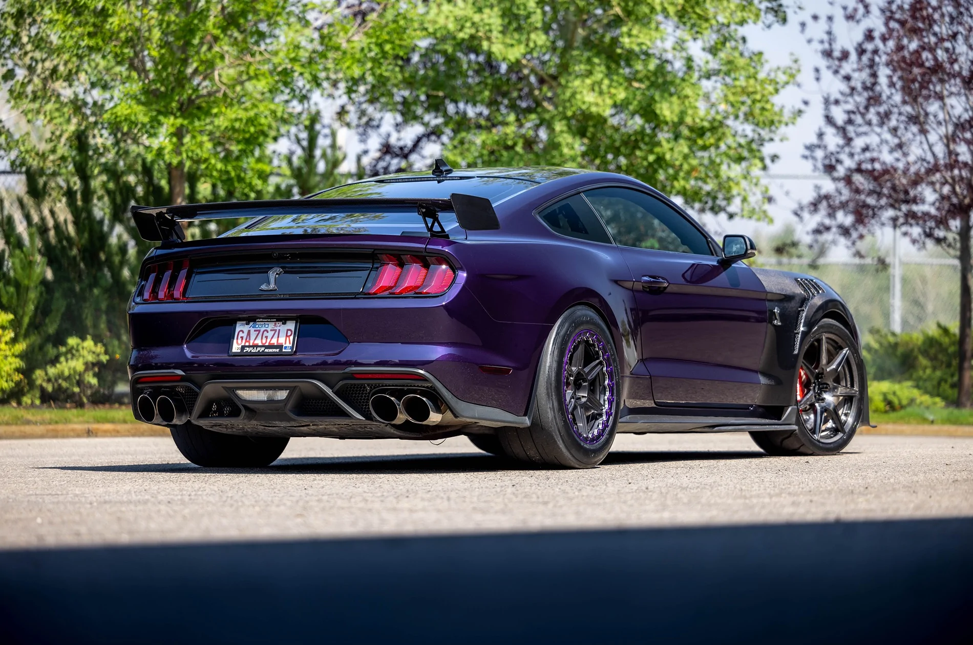 SV703 GT500 Bead Lock (17).webp