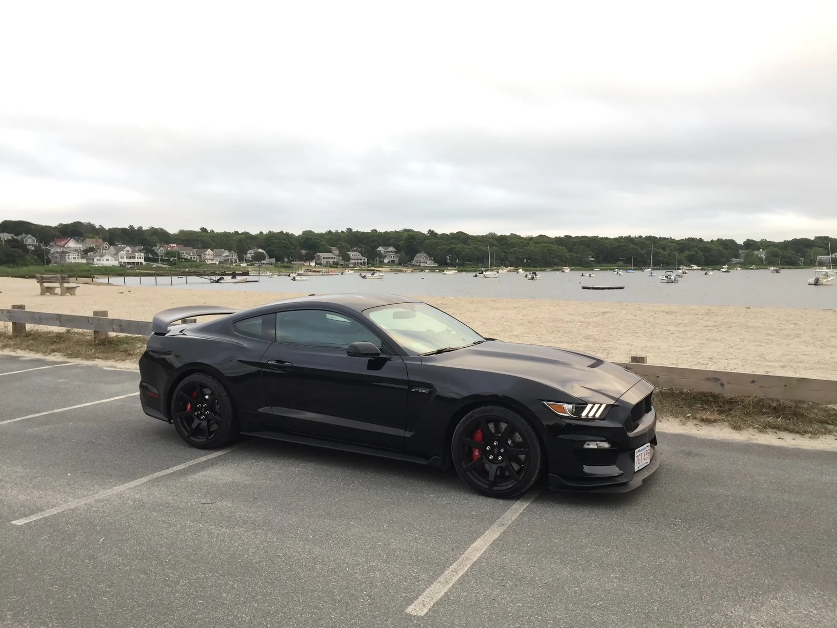 beach.webp