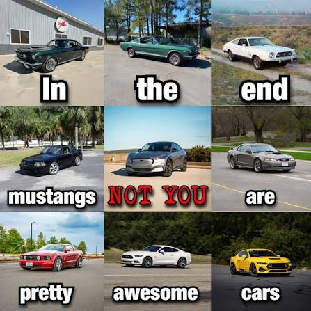 Mustangs are pretty awesome cars.jpg