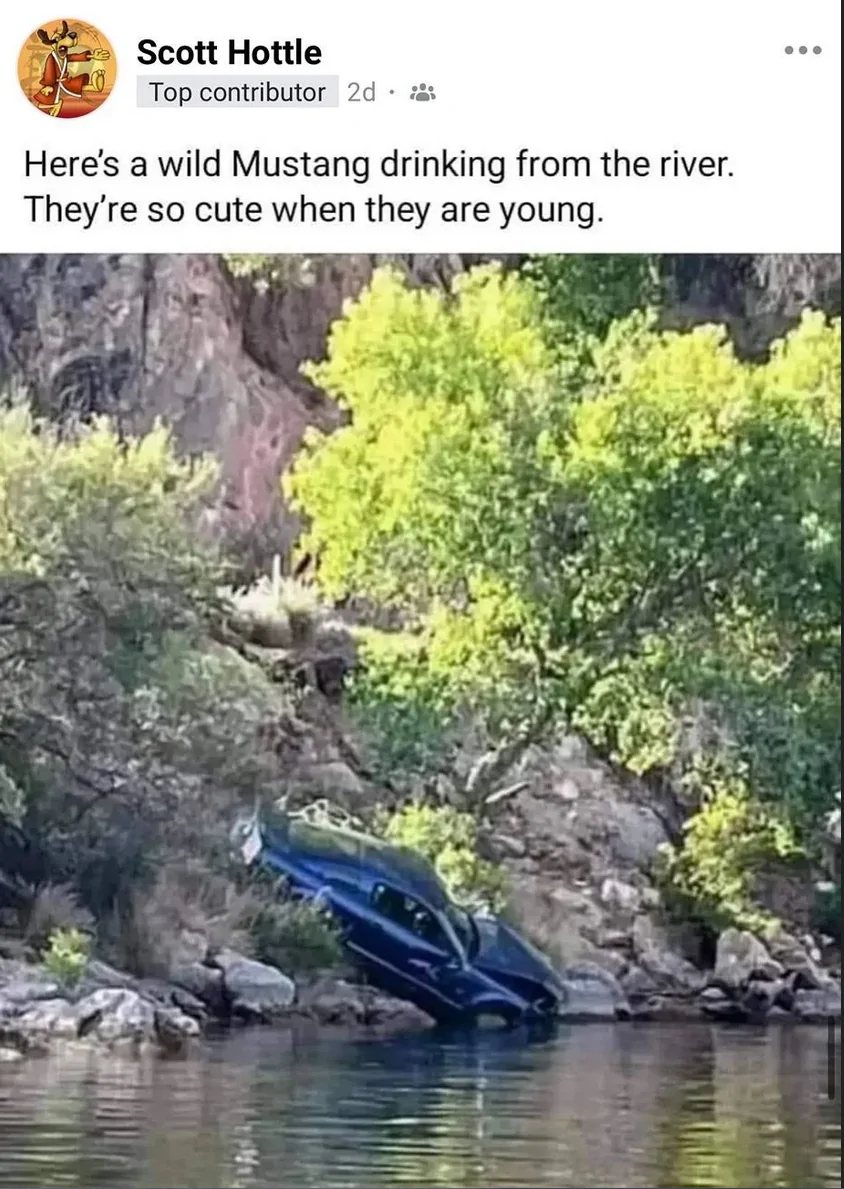 1781741381812-v1.webp