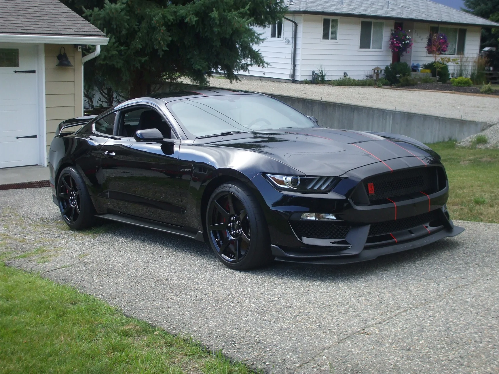 DSCF1669.webp