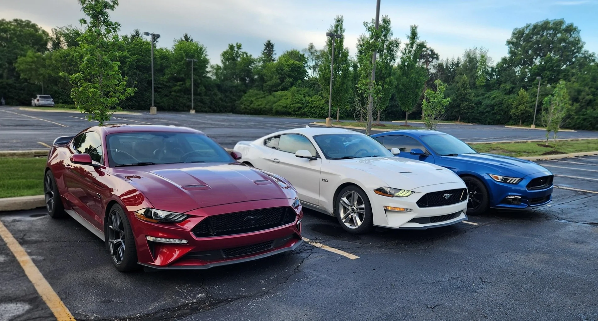 Mustangs_Red_White_Blue.webp