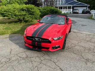 GT4.webp