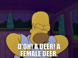 D'oh!  A deer!.jpg
