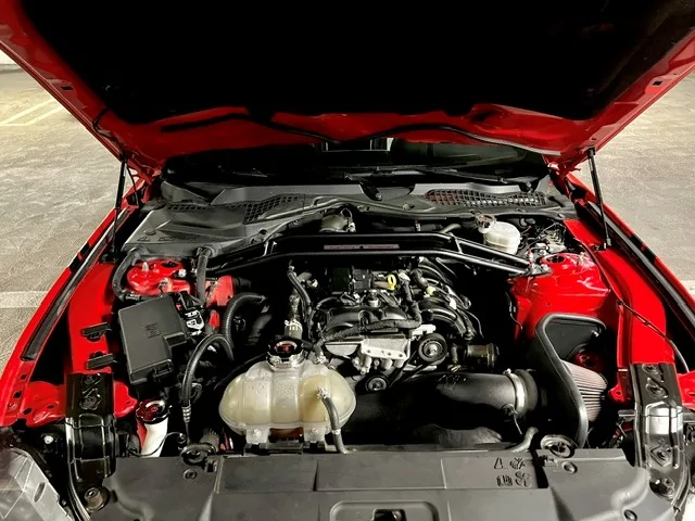 AB Stang 20.webp