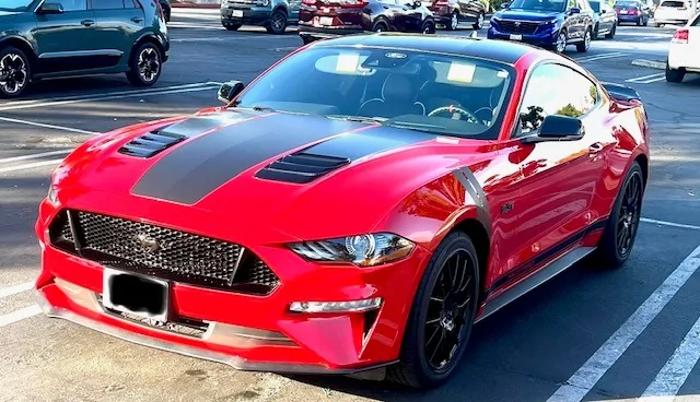 AB Stang 18.webp