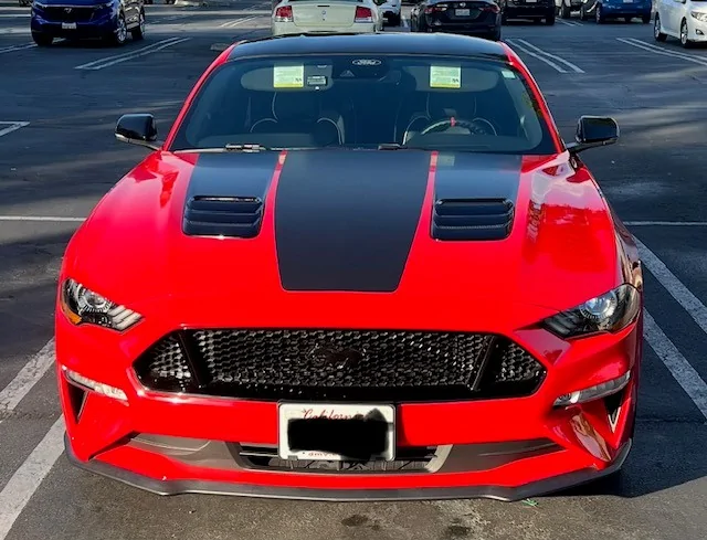 AB Stang 19.webp