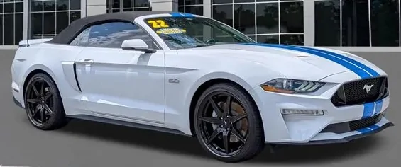 Stang1.webp