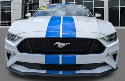 Stang2.webp