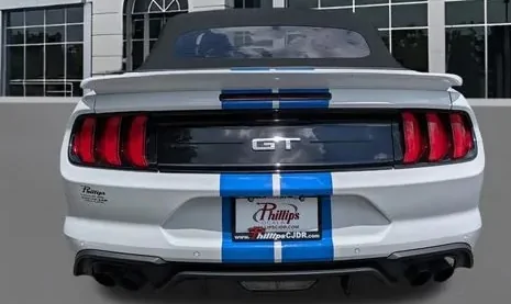 Stang3.webp