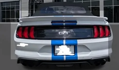 Stang3.webp
