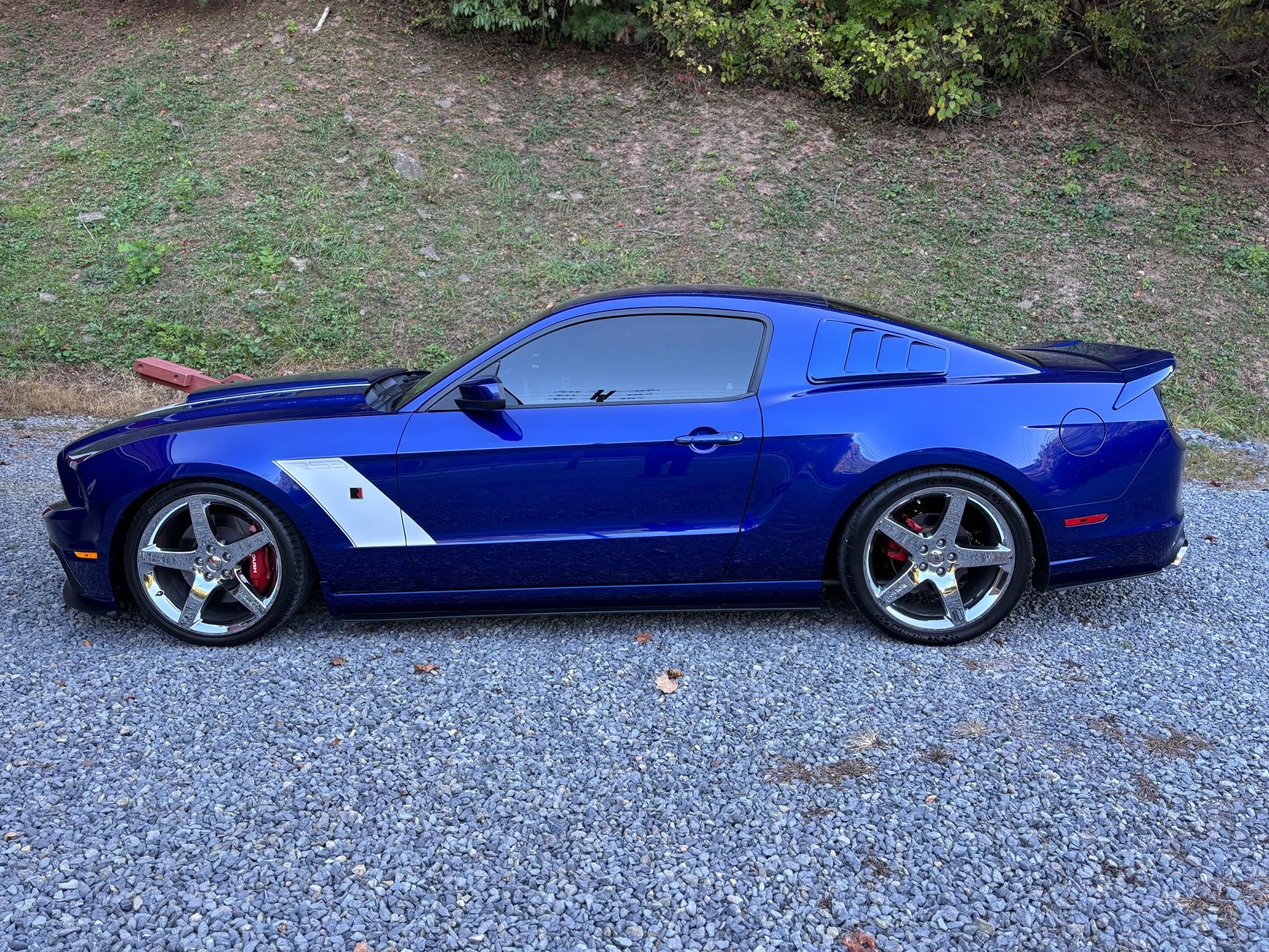 IMG_6876_Original.webp