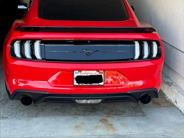 AB Stang 21.webp