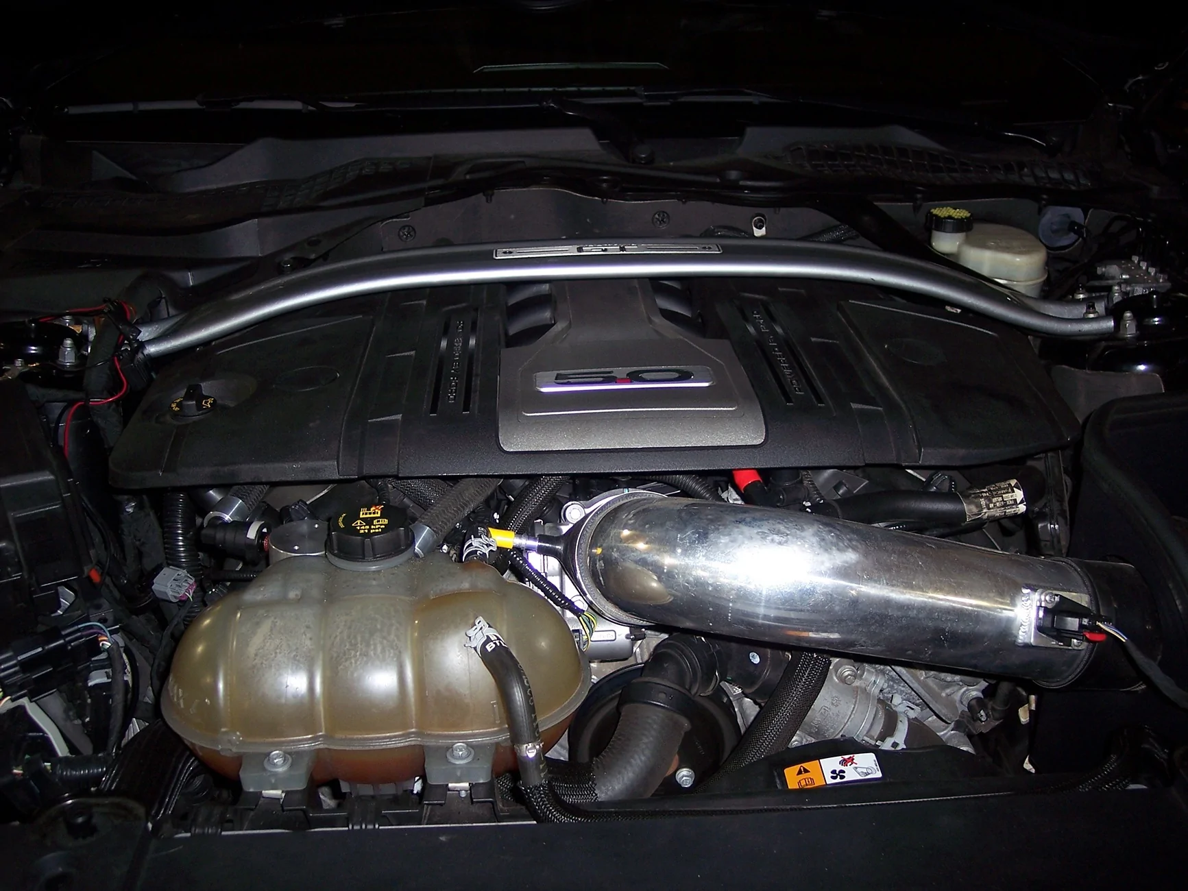 100_0520.webp