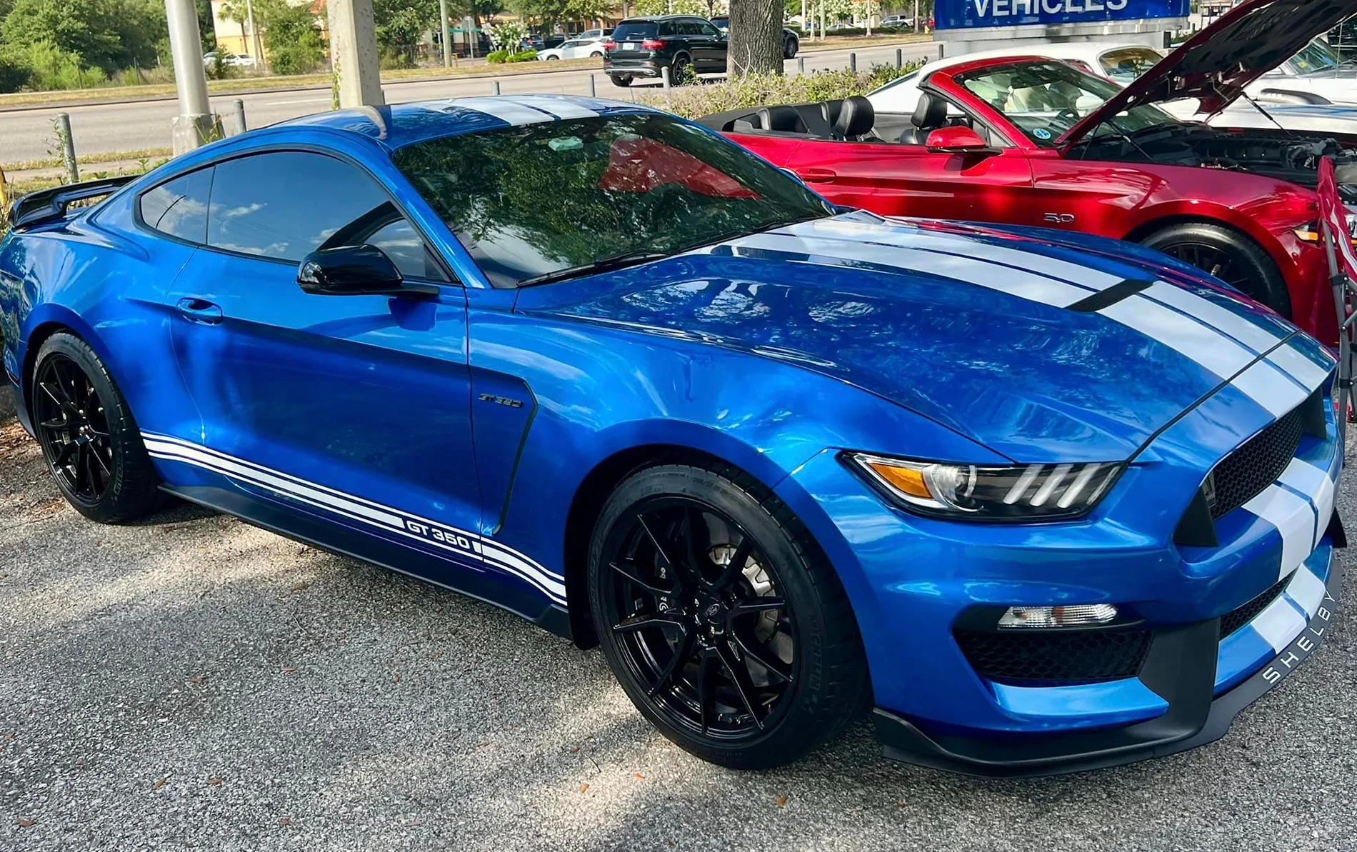 Shelby GT350.webp