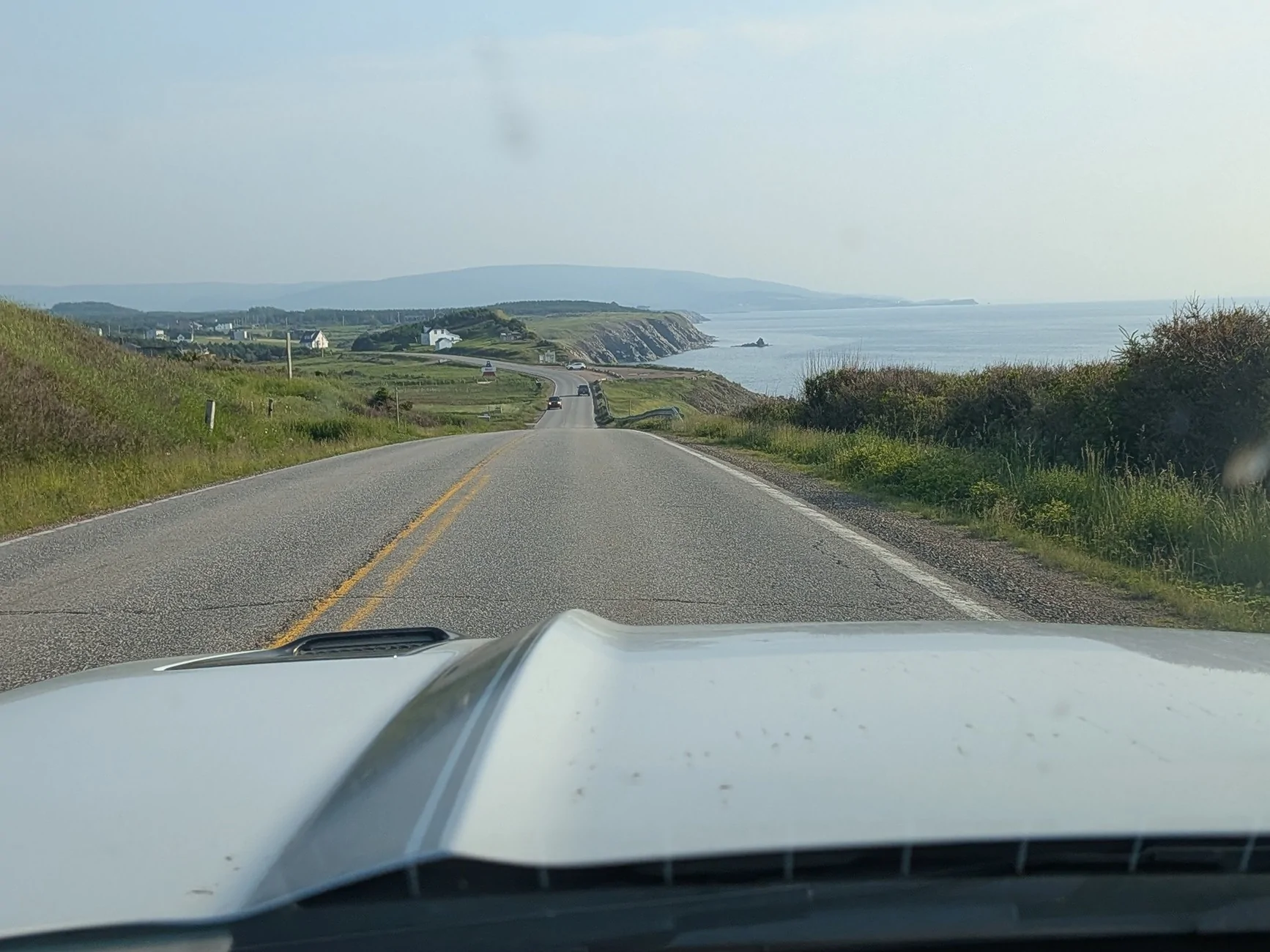 7867.webp