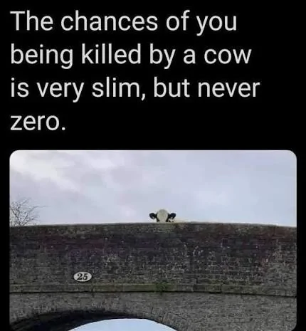 Chances of being killed by 02.webp