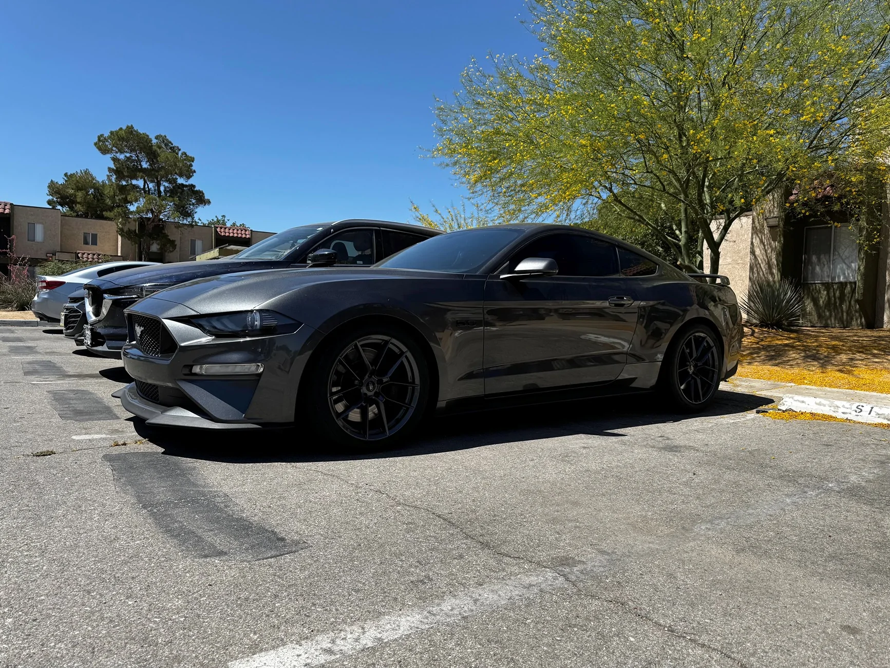 stang24.webp