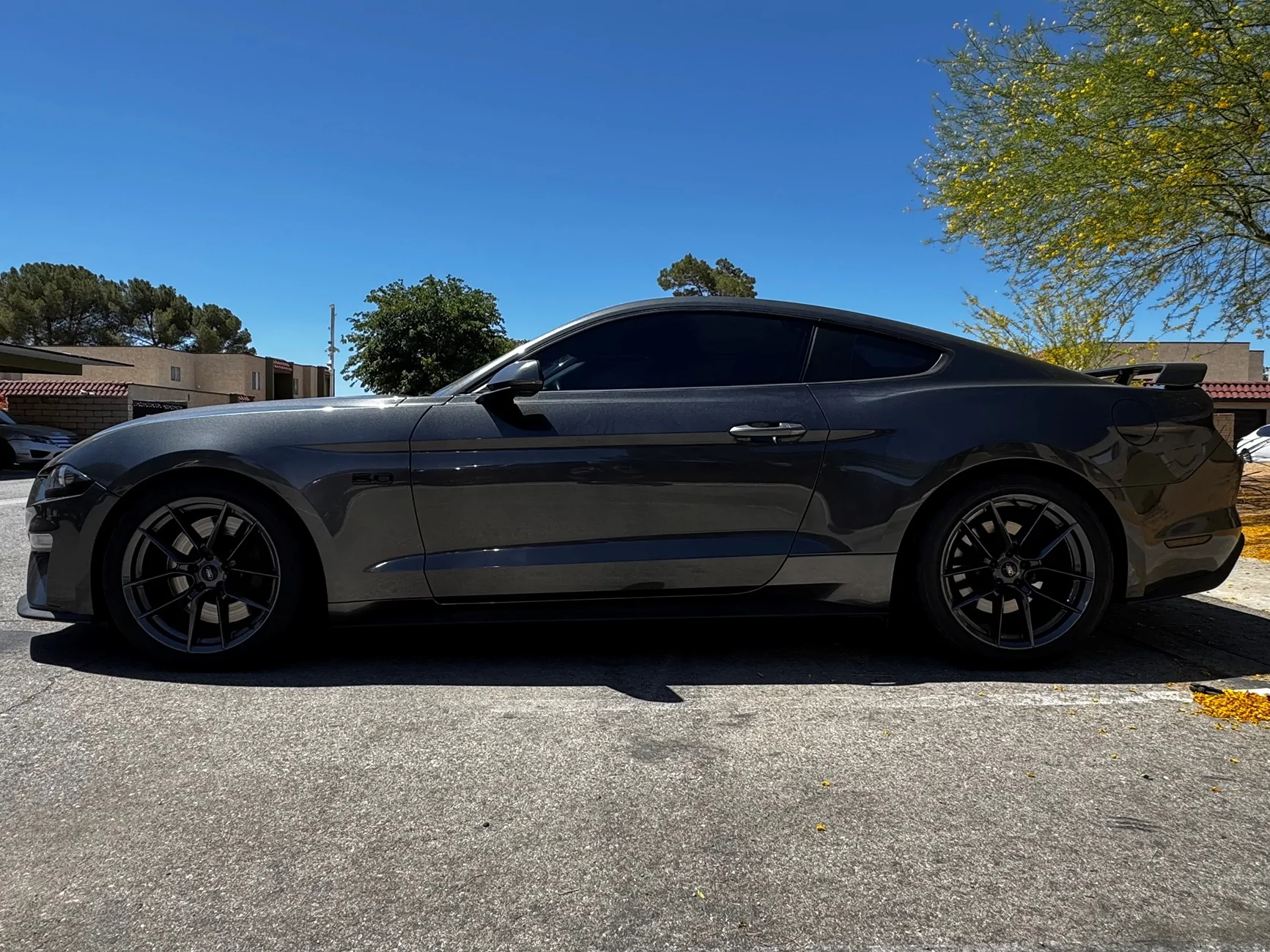 stang25.webp