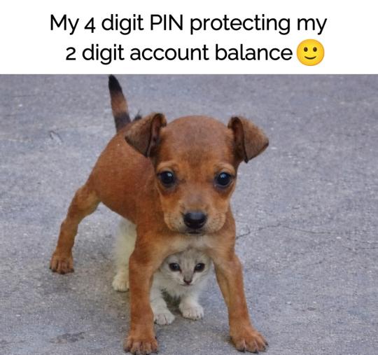 779b727bb67ef545b151afd630c8e7f9bc2fd0a1.jpg