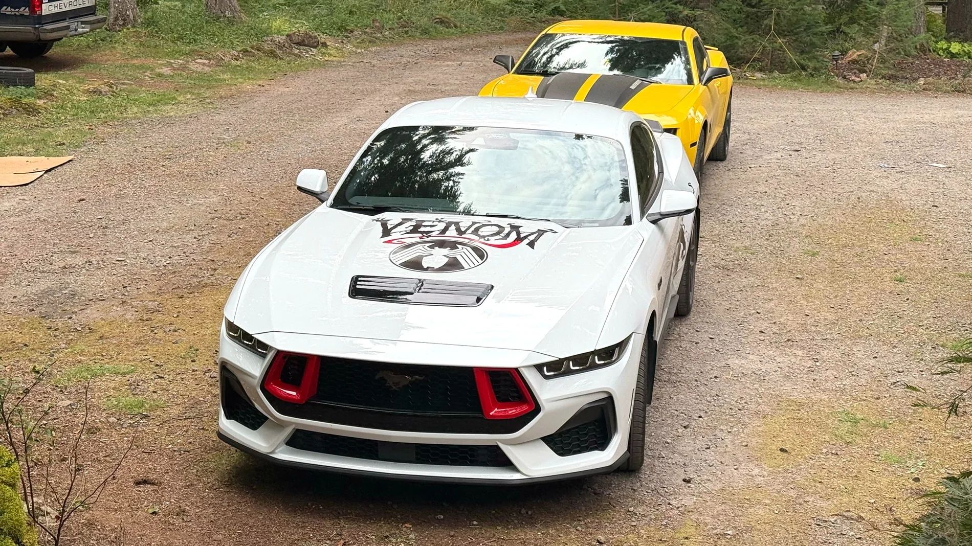 mustang.webp