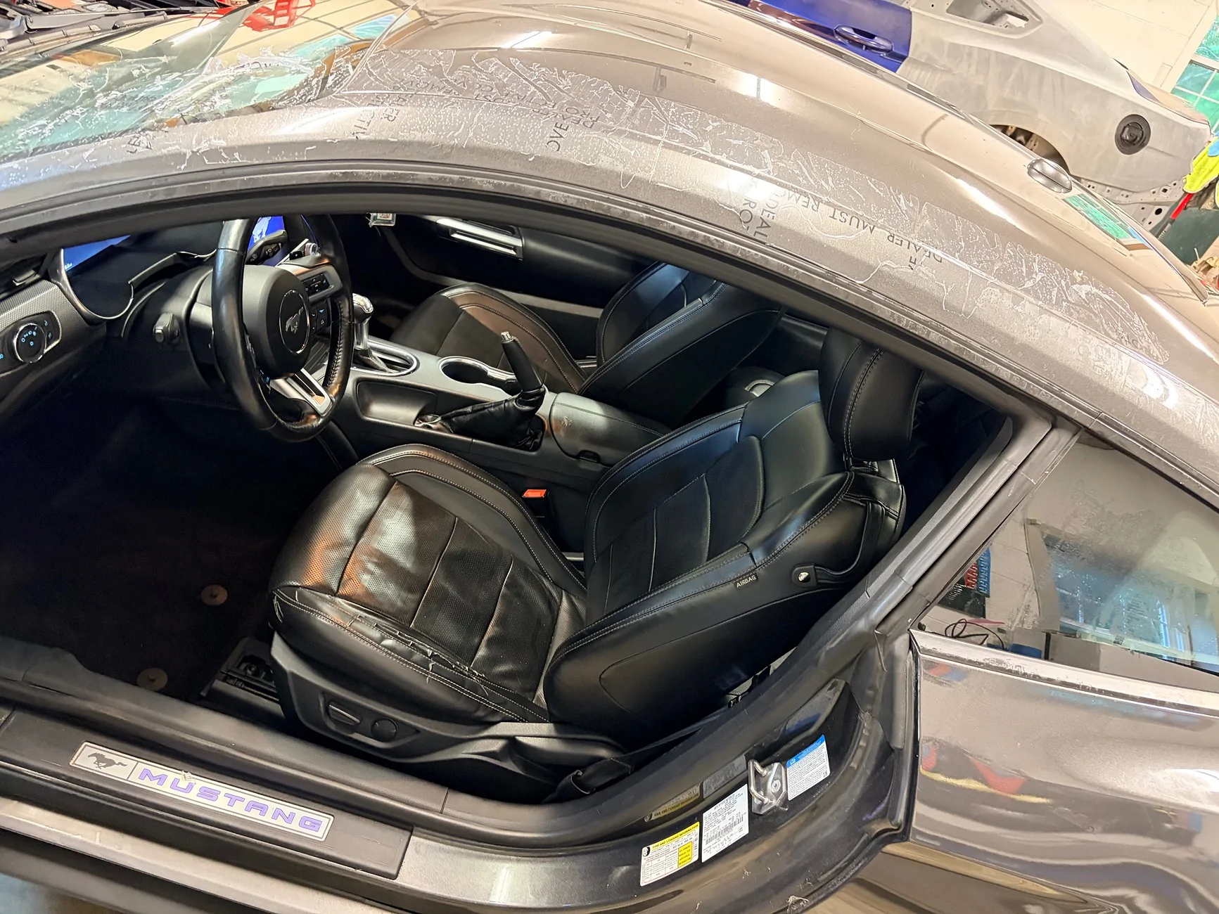 IMG_2598.webp