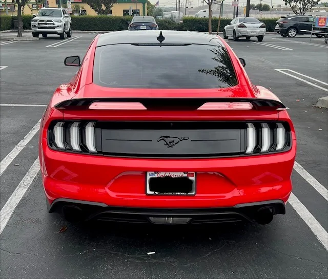 AB Stang 25.webp