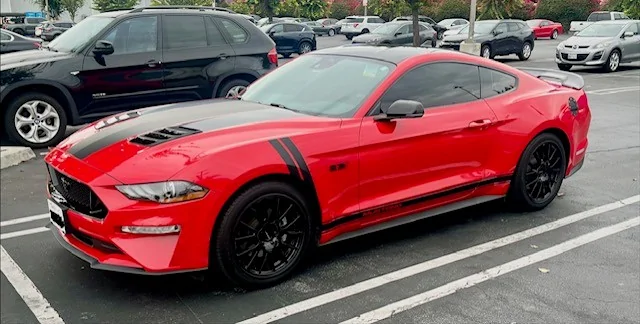 AB Stang 26.webp