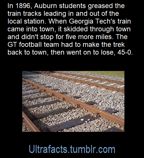 c20d0f93cb69fd658b8e291f250b470f3475d224.png
