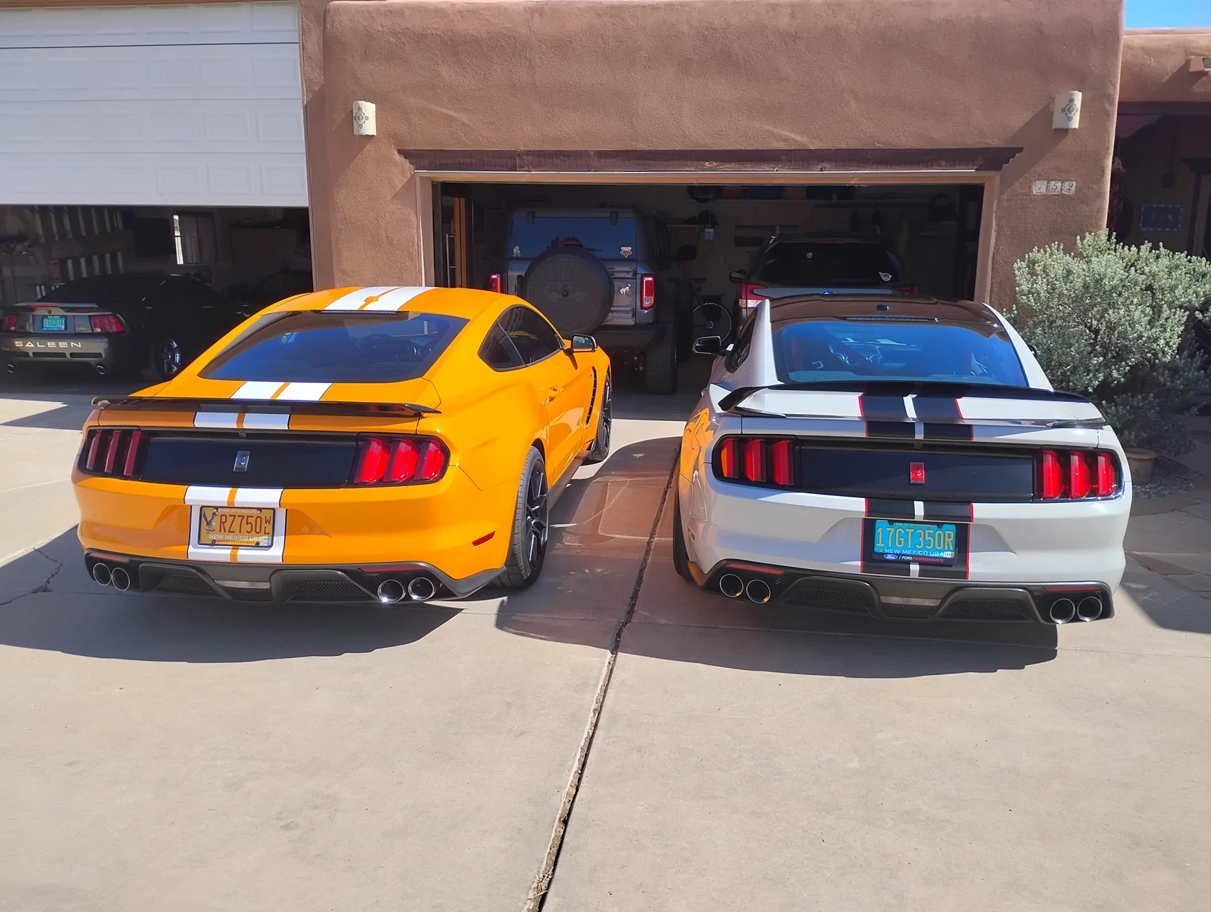 IMG_20260519_094925675.webp