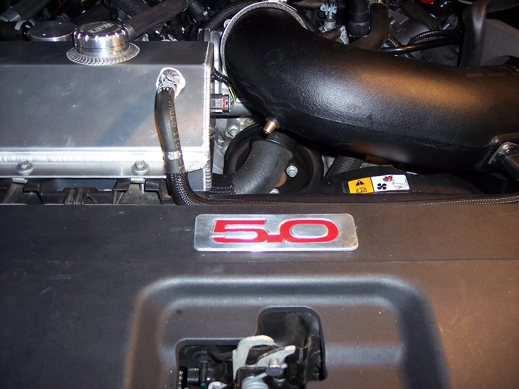 100_0594.webp