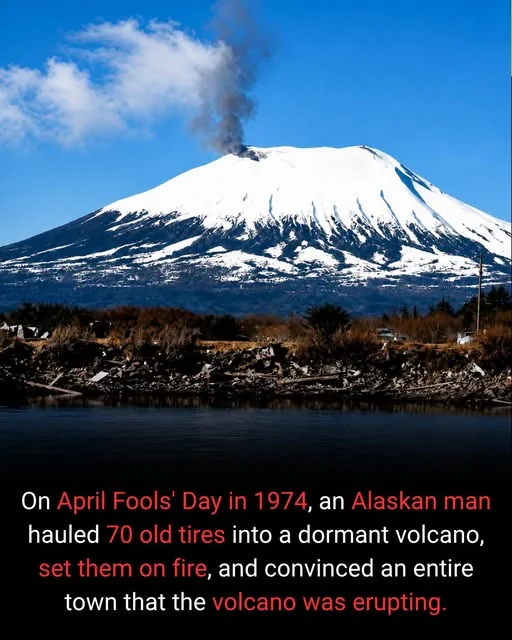 1784581448698-ua.webp