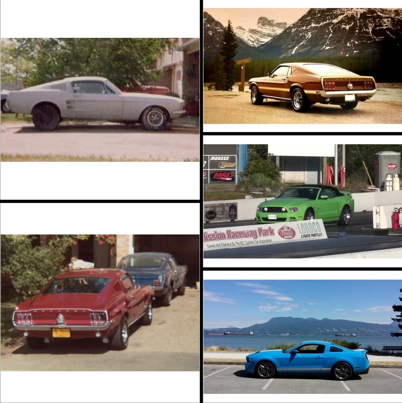 Screenshot_20260720_192118_Gallery.webp